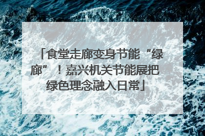 食堂走廊变身节能“绿廊”！嘉兴机关节能展把绿色理念融入日常