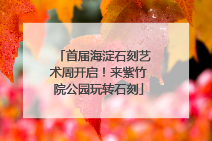 首届海淀石刻艺术周开启！来紫竹院公园玩转石刻