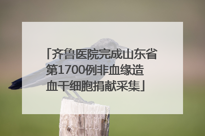 齐鲁医院完成山东省第1700例非血缘造血干细胞捐献采集