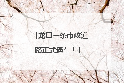 龙口三条市政道路正式通车！