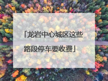龙岩中心城区这些路段停车要收费