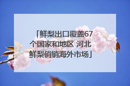 鲜梨出口覆盖67个国家和地区 河北鲜梨俏销海外市场