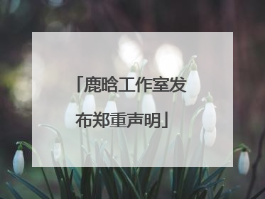 鹿晗工作室发布郑重声明