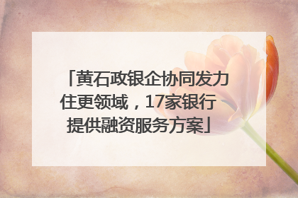 黄石政银企协同发力住更领域，17家银行提供融资服务方案