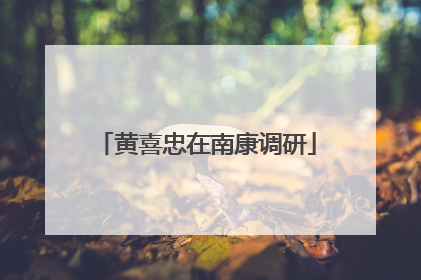 黄喜忠在南康调研