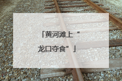 黄河滩上“龙口夺食”