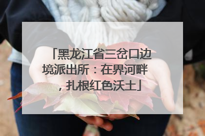 黑龙江省三岔口边境派出所：在界河畔，扎根红色沃土