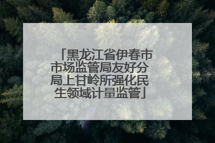 黑龙江省伊春市市场监管局友好分局上甘岭所强化民生领域计量监管