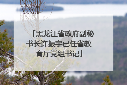 黑龙江省政府副秘书长许振宇已任省教育厅党组书记
