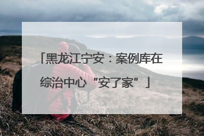 黑龙江宁安：案例库在综治中心“安了家”