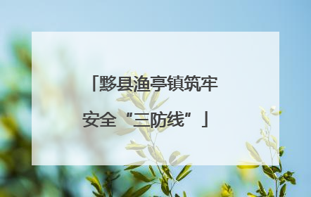 黟县渔亭镇筑牢安全“三防线”