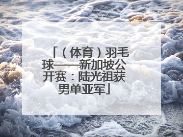 （体育）羽毛球——新加坡公开赛：陆光祖获男单亚军