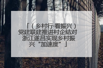 （乡村行·看振兴）党建联建推进村企结对 浙江遂昌实现乡村振兴“加速度”