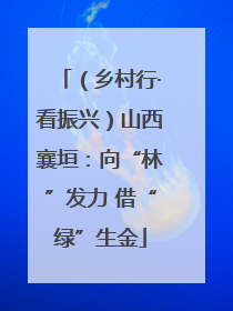（乡村行·看振兴）山西襄垣：向“林”发力 借“绿”生金