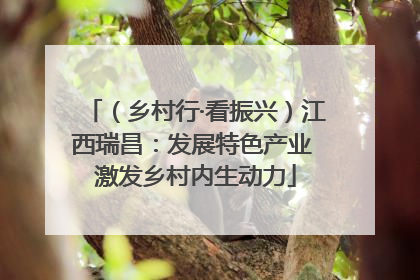 （乡村行·看振兴）江西瑞昌：发展特色产业 激发乡村内生动力