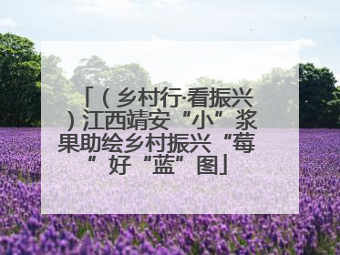 （乡村行·看振兴）江西靖安“小”浆果助绘乡村振兴“莓”好“蓝”图