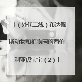 （外代二线）布达佩斯动物和植物园的西伯利亚虎宝宝（2）