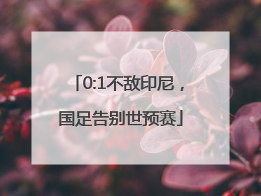 0:1不敌印尼，国足告别世预赛