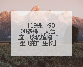19株→9000多株，天台这一珍稀植物“坐飞的”生长