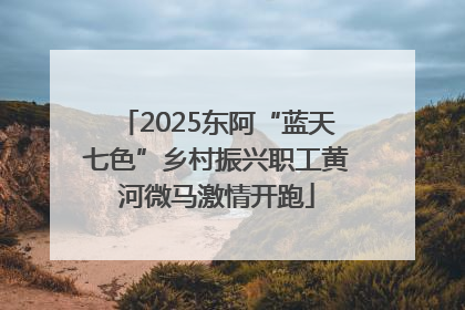 2025东阿“蓝天七色”乡村振兴职工黄河微马激情开跑