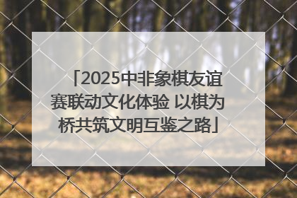 2025中非象棋友谊赛联动文化体验 以棋为桥共筑文明互鉴之路