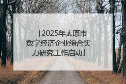 2025年太原市数字经济企业综合实力研究工作启动