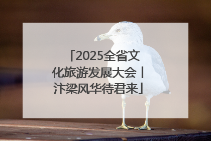 2025全省文化旅游发展大会丨汴梁风华待君来