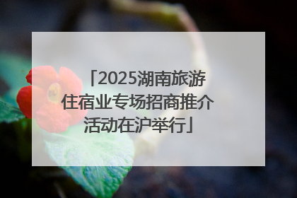 2025湖南旅游住宿业专场招商推介活动在沪举行