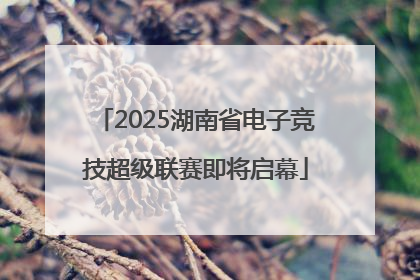 2025湖南省电子竞技超级联赛即将启幕