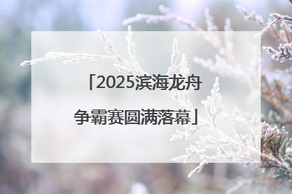 2025滨海龙舟争霸赛圆满落幕