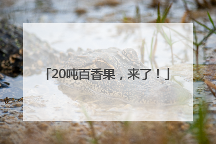 20吨百香果，来了！