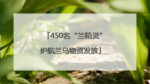 450名“兰精灵”护航兰马物资发放