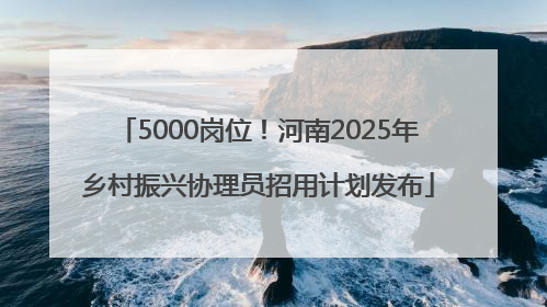 5000岗位！河南2025年乡村振兴协理员招用计划发布