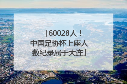 60028人！中国足协杯上座人数纪录属于大连