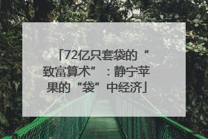 72亿只套袋的“致富算术”：静宁苹果的“袋”中经济