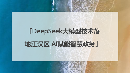 DeepSeek大模型技术落地江汉区 AI赋能智慧政务