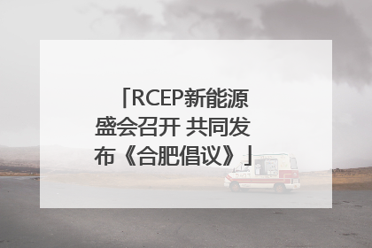 RCEP新能源盛会召开 共同发布《合肥倡议》